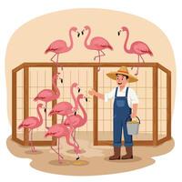 Man Feeding Flamingos in Enclosure with Bucket of Food Illustration vector