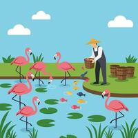 Flamingo Pond Scene with Figure Feeding Fish and Birds Graphic vector