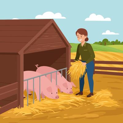Woman Feeding Pigs Hay in Rural Farm Scene Illustration