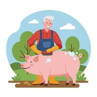 Farmer Grooming Pig with Brush in Rural Countryside Setting vector
