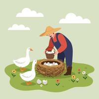 Farmer Collecting Eggs From Nest Surrounded by Geese on Farm vector