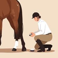 Person Applying Product on Horse's Leg in Equine Care Routine vector