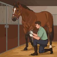 Examining Horse Health with Veterinarian Performing Checkup in Stable vector