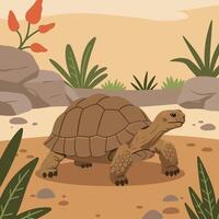 Turtle Walking on Desert Sand Illustration with Rocks and Plants vector