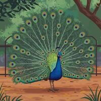 Peacock Displaying Feathers in a Lush, Green Environment Illustration vector