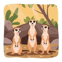 Three Meerkats Standing Tall in a Desert Landscape Illustration vector
