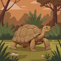 Walking Tortoise in a Forest Illustration with Trees and Vegetation vector
