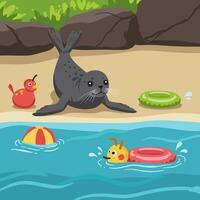 Seal Relaxing on Beach Watching Toys Playing in the Water vector