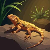 Lizard Resting on Rock Under Sunlight in a Natural Habitat vector