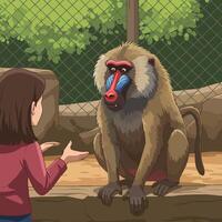 Woman Interacting with Primate at Enclosure with Green Leafy Background vector