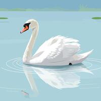 Swan Swimming in Calm Water with Reflection and Serene Background vector