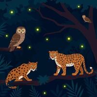 Leopards and Owls in a Night Forest with Fireflies vector