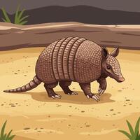 Armadillo Walking on Sand in a Cartoon Style Illustration vector