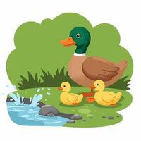 Duck and Ducklings by Pond Illustration in a Green Field vector