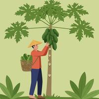 Harvesting Fresh Fruit From Tree with Basket for Simple Living vector