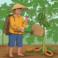 Farmer Harvesting Papayas with Fan Near Tree in Orchard vector