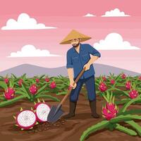 Farmer Tilling Soil in Dragon Fruit Field with Traditional Hat vector