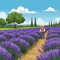 Walking Through Lavender Field with Farming Tools Under a Blue Sky vector