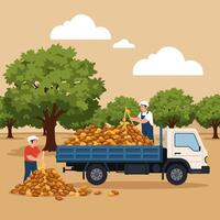 Harvesting Crop with Two Farmers Loading Truck in Rural Setting vector