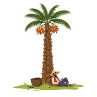 Resting Under Date Palm Tree with Fruit Harvest Illustration vector