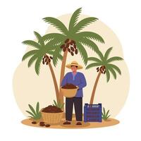 Harvesting Dates at Palm Tree Farm with Worker and Baskets vector