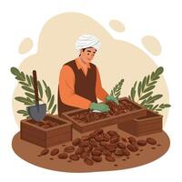 Farmer Harvesting Dates Putting Them in Crates with Shovel Beside vector