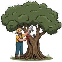 Gardener Pruning Olive Tree with Shears in Agricultural Setting vector