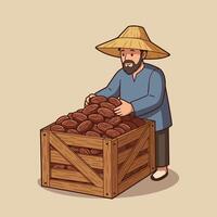 Man Sorting Harvested Dates Into Wooden Crate with Straw Hat vector