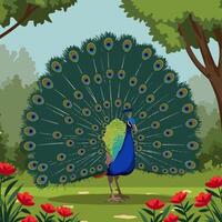 Peacock Displaying Feathers in Garden with Flowers and Lush Trees vector