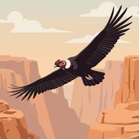 Condor Soaring Over Desert Canyon Landscape with Clouds and Warm Sky vector