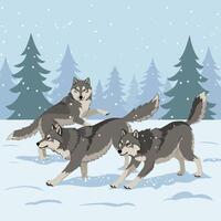 Wolves Moving Through Snowy Forest Under Gentle Falling Snow Animation vector