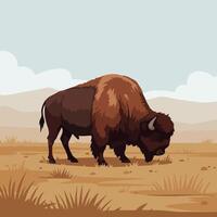 Buffalo Grazing in Open Field with Distant Mountains and Sky vector