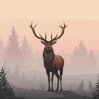 Stag Standing in Forest with Foggy Background and Large Antlers vector
