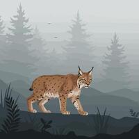 Lynx Walking Through Misty Forest with Evergreen Trees Illustration vector