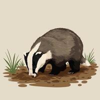Badger Digging in the Ground Amidst Grass in Cartoon Style vector