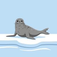 Resting Seal on Ice Illustration of Arctic Animal in Nature vector