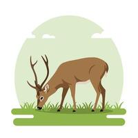 Deer Grazing in Meadow Peaceful Wildlife Scene Flat Illustration vector