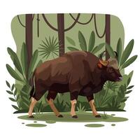 Gaur Walking in Jungle with Dense Tropical Foliage Background vector