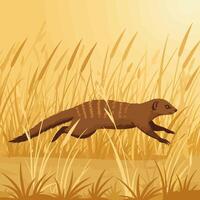 Mongoose Running Through Tall Grass in a Field Illustration Style vector