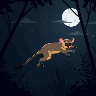 Galago Leaping in a Dark Forest with a Bright Moon