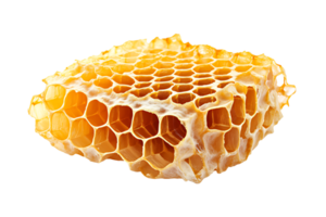 Honeycomb with golden honey beautifully arranged on white background. Flat lay. Top view. Package design element. png