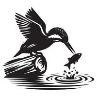 Kingfisher Bird Catching Fish Graphic Illustration Design vector
