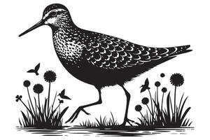 Sandpiper Bird Walking in Nature Illustration Silhouette Image vector