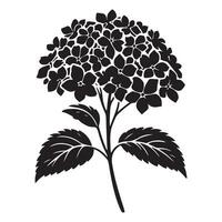 Elegant Hydrangea Flower Silhouette Illustration for Design Projects vector