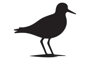 Detailed Shorebird Outline Illustration Perfect for Conservation Projects vector