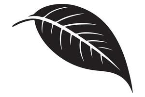 Simple Leaf Silhouette Illustration Nature Inspired Botanical Element Graphics vector
