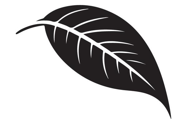 Simple Leaf Silhouette Illustration Nature Inspired Botanical Element Graphics