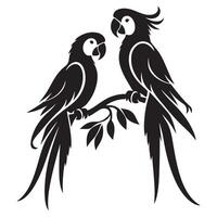 Beautiful Couple Parrots Perched on Branch Silhouette Artwork vector