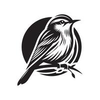 Black Bird Warbler for Projects vector