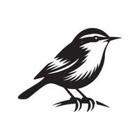 Warbler Bird Art for Creative Use vector